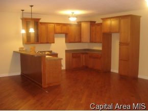 133 Post Road Virden, IL 62690 - Photo 5 of 10