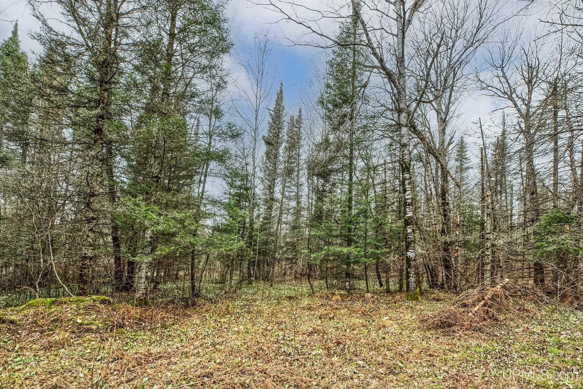 11624 Delbert Drive Long Lake, WI 54542 - Photo 27 of 36