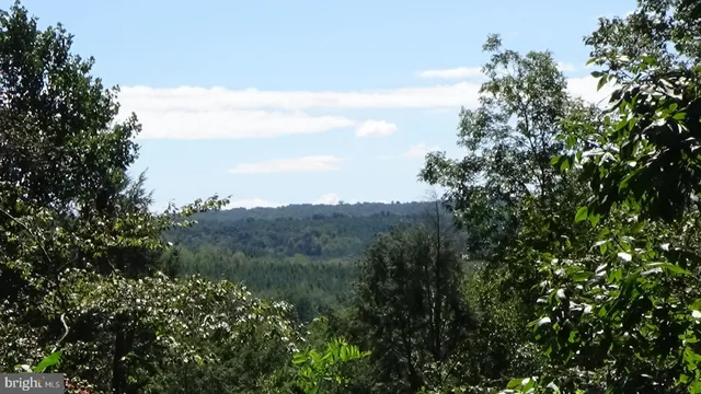 a view of a mountain range with trees in the background
