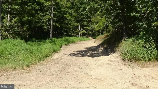 a wooden bench with view of trees