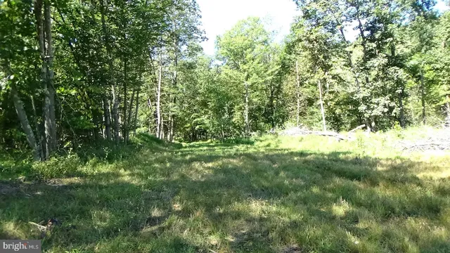 a view of yard with green space