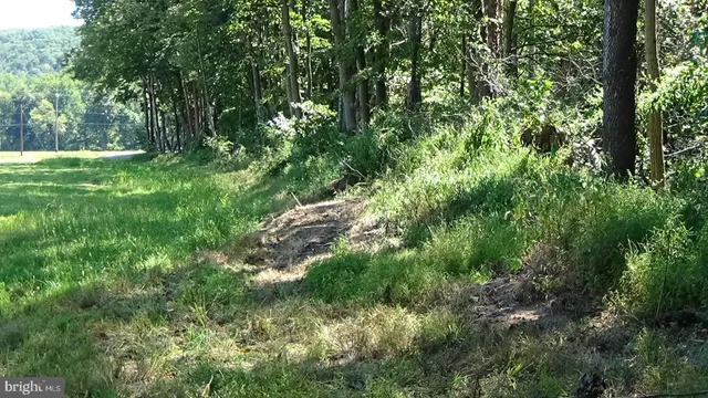 a view of outdoor space and trees all around