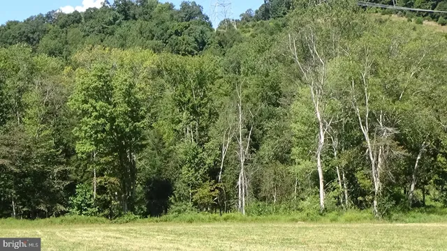 a view of a field with trees in the background