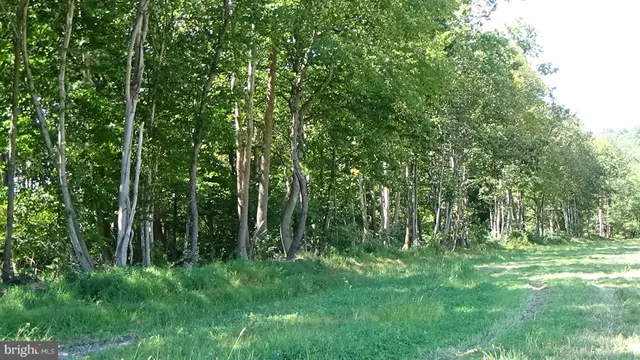 a view of outdoor space and green space
