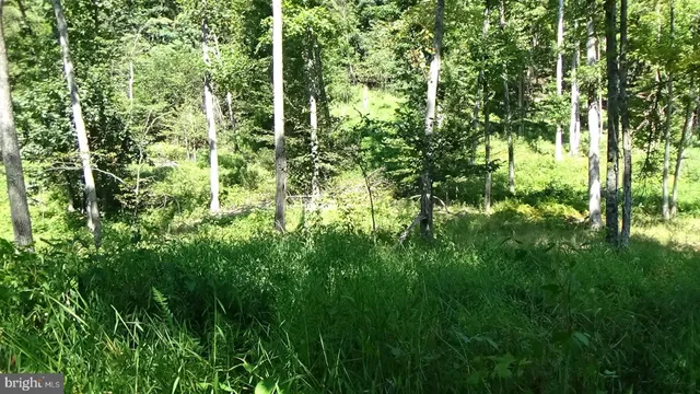 a view of an beautiful room