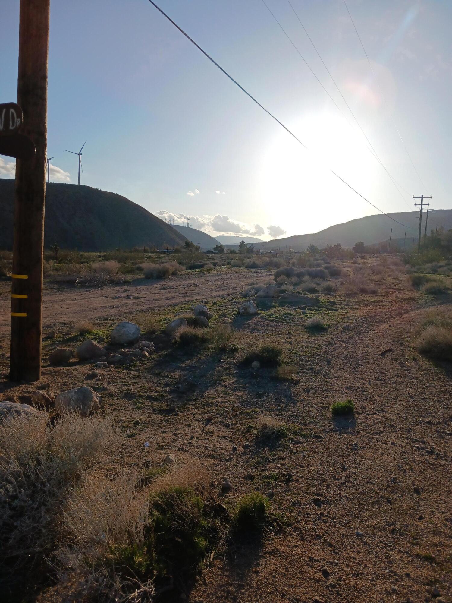 a view of a dry yard with wooden fence