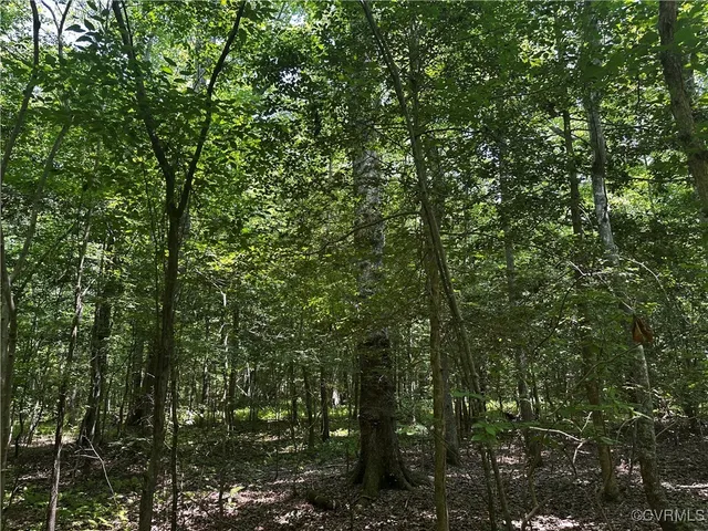 $140,000 | 000 Buckley Hall Road, Dutton, VA 23050