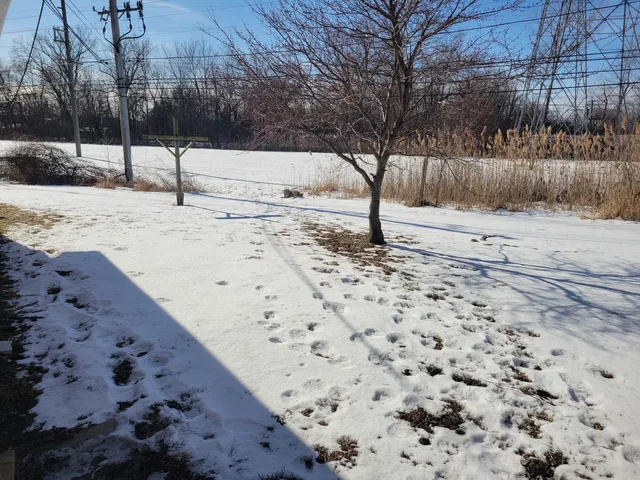 $134,900 | 1216 Balmoral Avenue, Calumet City, IL 60409