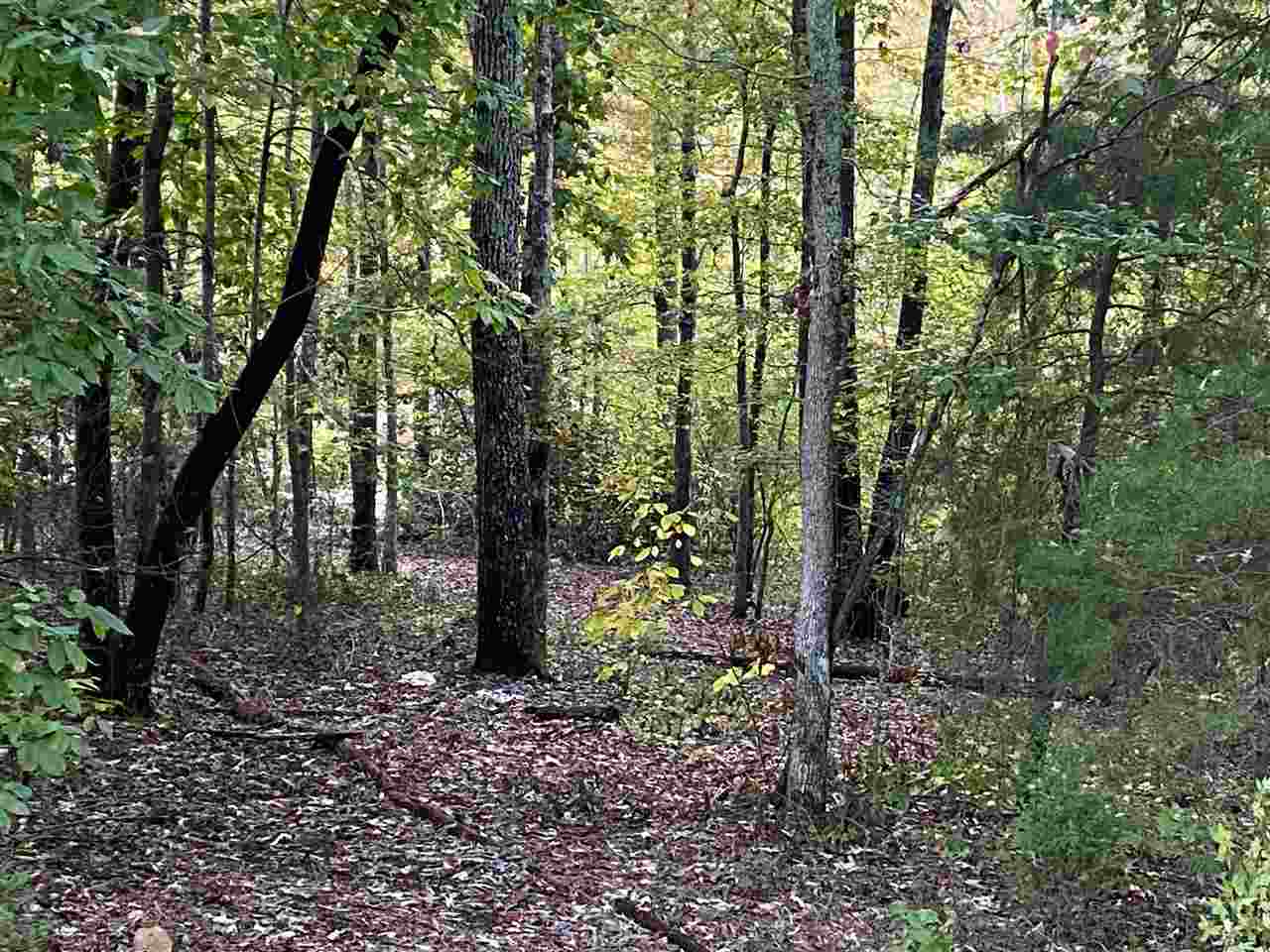 378 Island Green Lane Inman, SC 29349 - Photo 5 of 16 Gallery Image 5