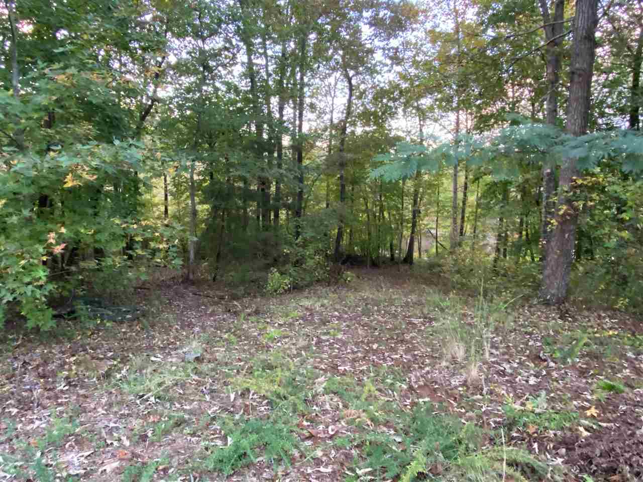 378 Island Green Lane Inman, SC 29349 - Photo 6 of 16 Gallery Image 6