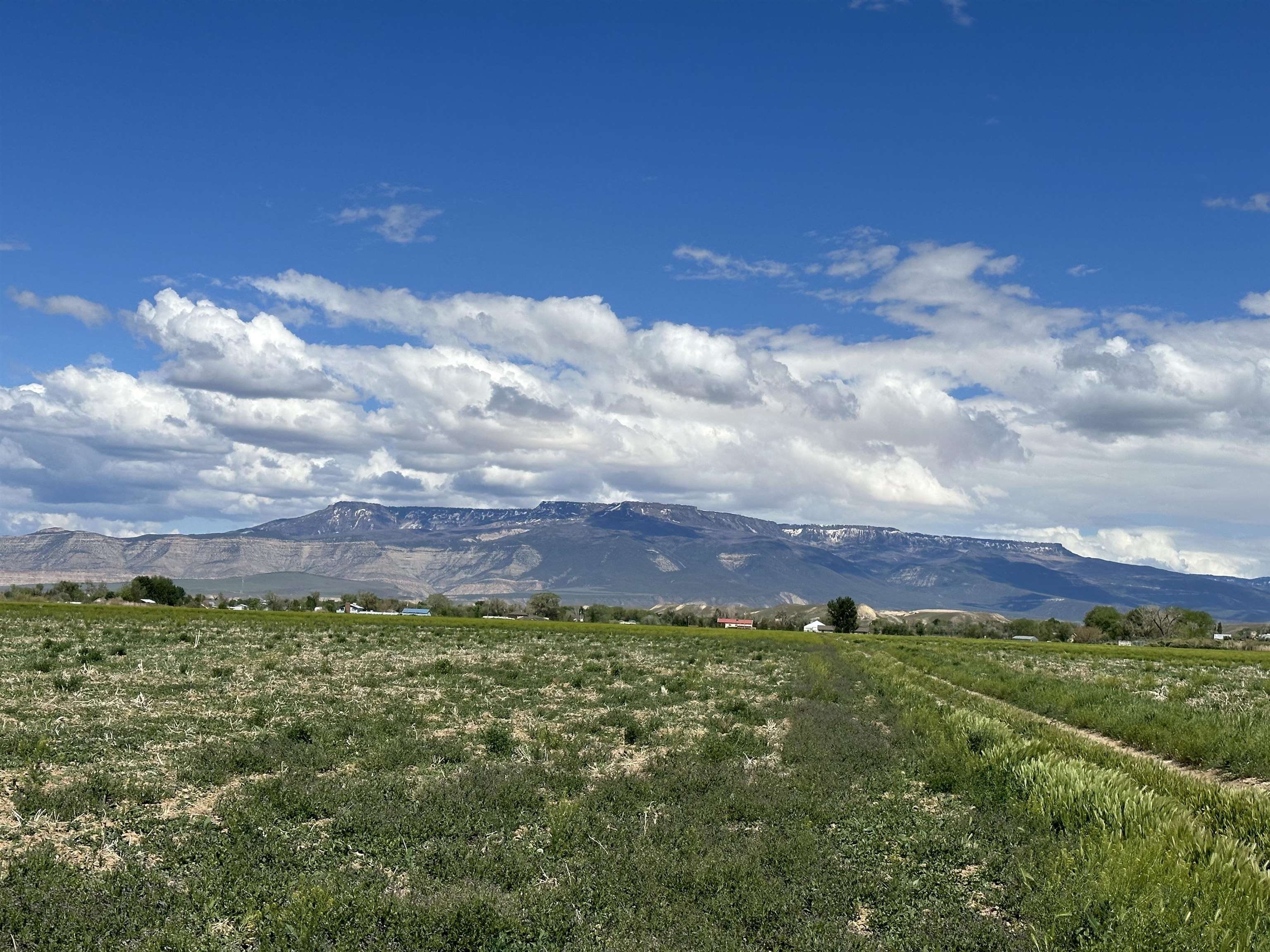 203 31 Road Grand Junction, CO 81503 - Photo 2 of 15 Gallery Image 2