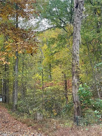 $1,795 | 456 Poverty Road, Murrayville, GA 30564