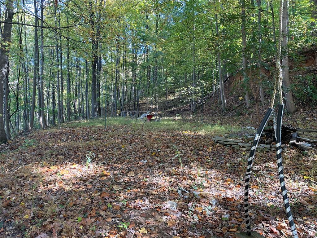 456 Poverty Road Murrayville, GA 30564 - Photo 23 of 28