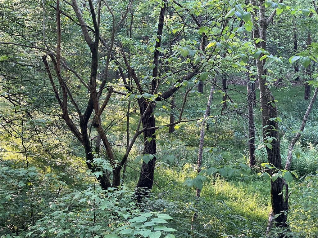 456 Poverty Road Murrayville, GA 30564 - Photo 24 of 28