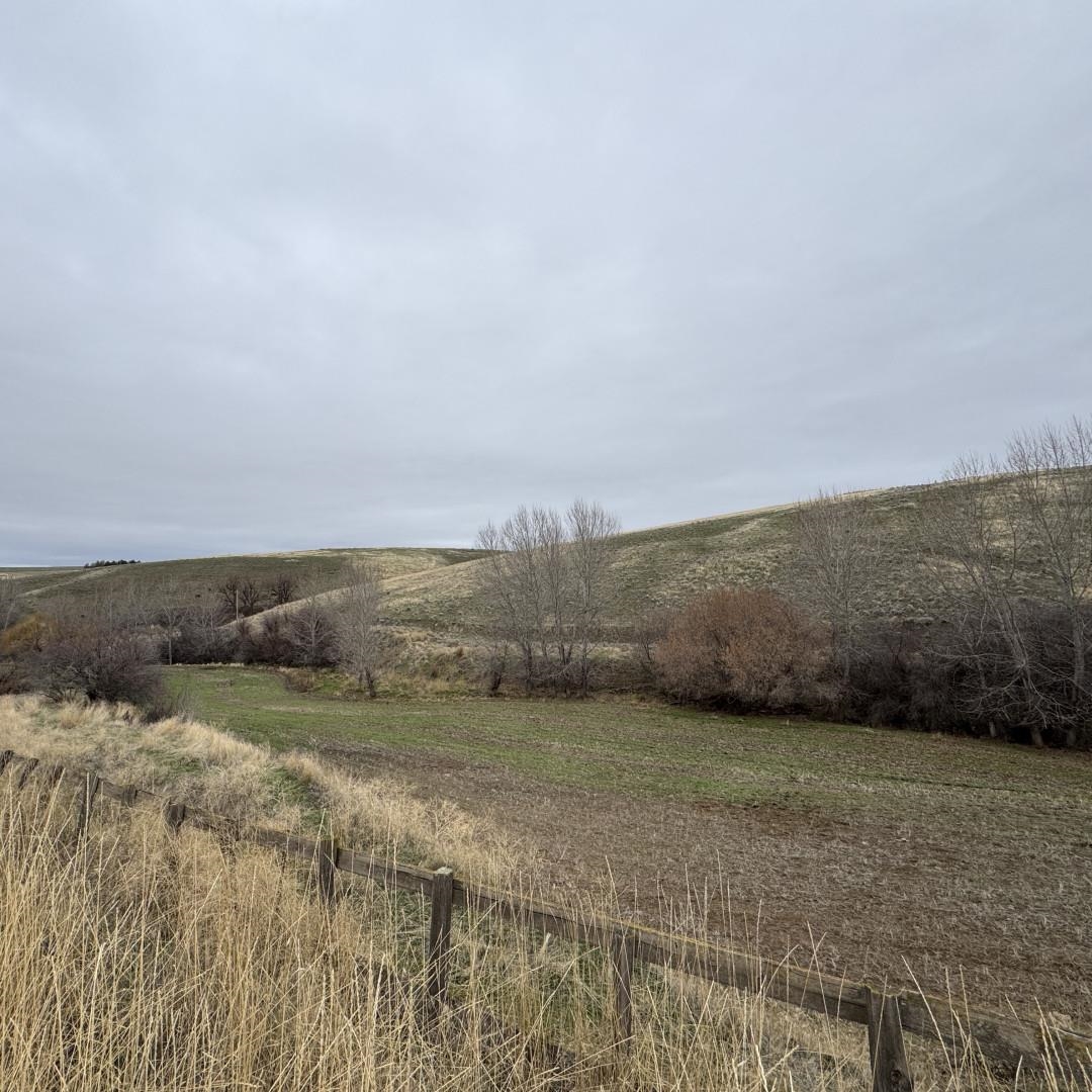 101 Smith Gulch Road Pomeroy, WA 99347 - Photo 3 of 6