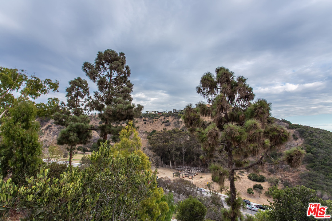 36 Copra Lane Pacific Palisades, CA 90272 - Photo 18 of 31 a view of a tree in a field with a tree