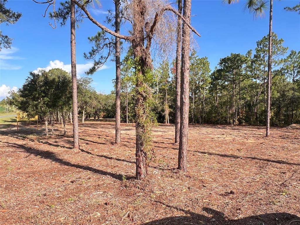Levy Street Williston, FL 32696 - Photo 6 of 26