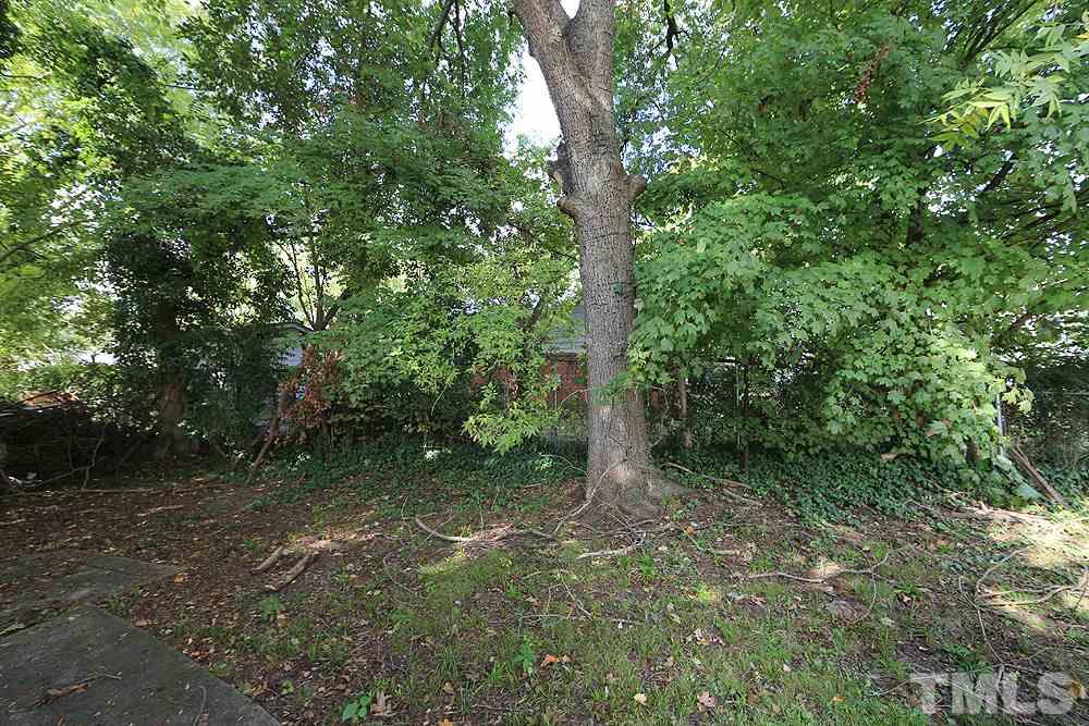 206 South Pettigrew Street Raleigh, NC 27610 - Photo 13 of 13 a view of a forest with trees in the background