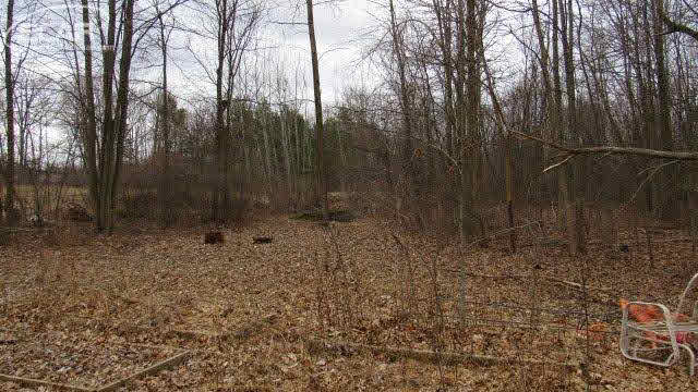 1048 East Hurd Road Clio, MI 48420 - Photo 6 of 30 21278618-5.JPG