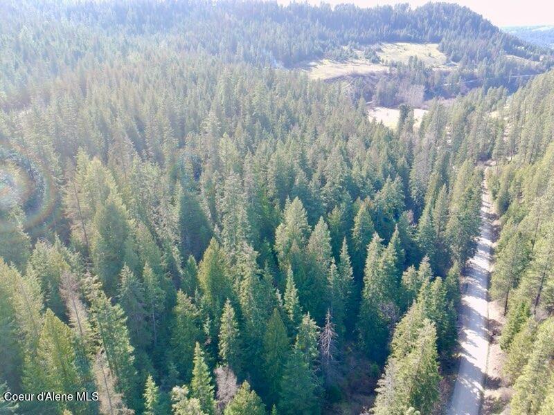 Nna East Bell Canyon Road Harrison, ID 83833 - Photo 8 of 22 Looking West
