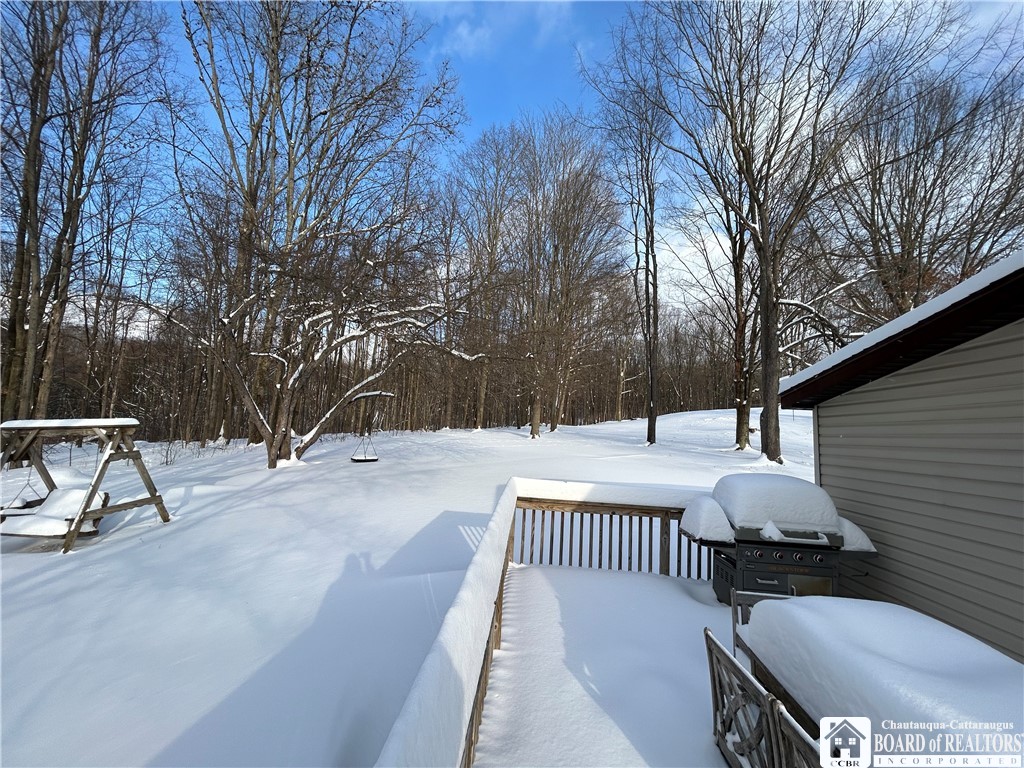 308 Ericsson Road Kennedy, NY 14747 - Photo 5 of 32 yard behind side deck