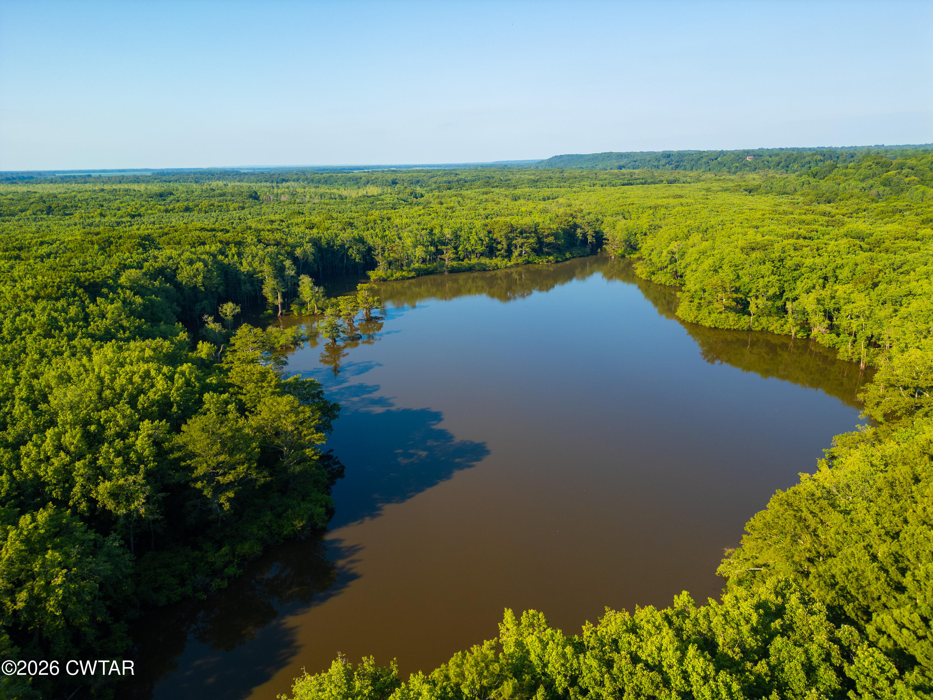 0 Chisholm Lake Road Ripley, TN 38063 - Photo 5 of 14 DJI_0004 copy
