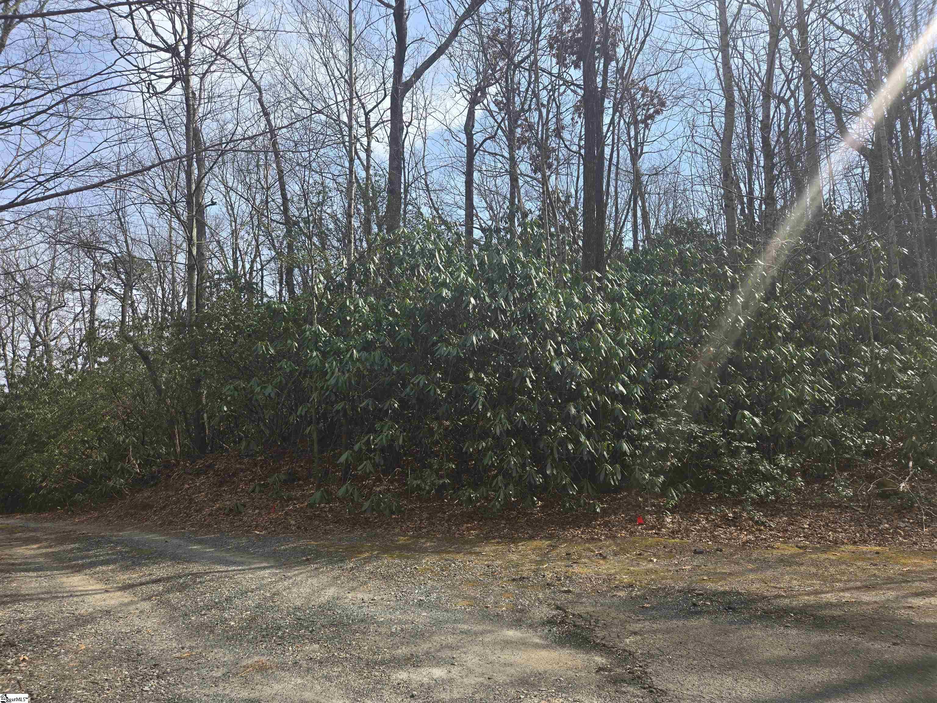 68 Conifer Falls Road Cleveland, SC 29635 - Photo 3 of 12
