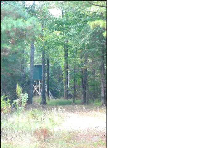 273 Midway Road Hazlehurst, MS 39083 - Photo 1 of 13 Photo 1