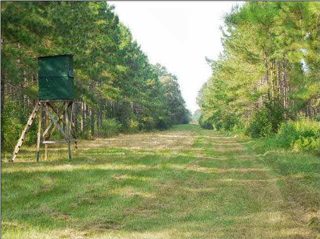 273 Midway Road Hazlehurst, MS 39083 - Photo 11 of 13 Photo 11