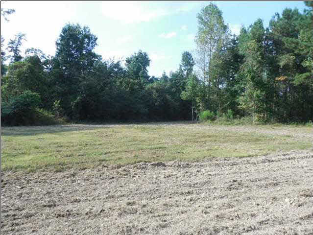 273 Midway Road Hazlehurst, MS 39083 - Photo 6 of 13 Photo 6