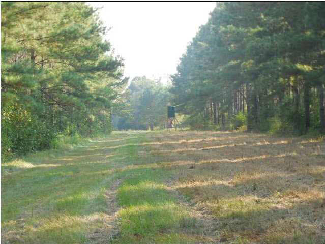 273 Midway Road Hazlehurst, MS 39083 - Photo 9 of 13 Photo 9