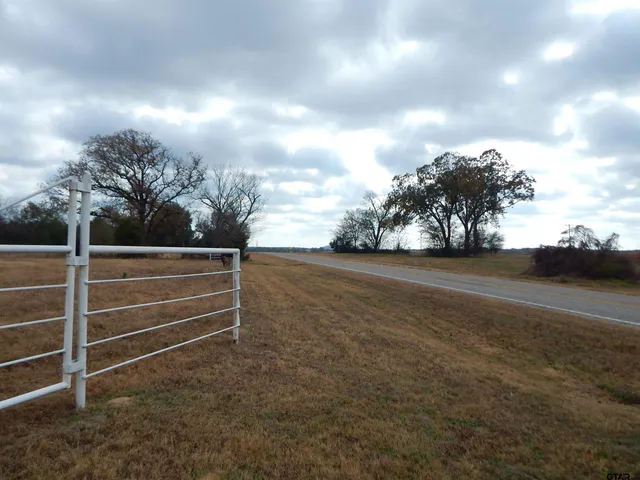 a view of backyard with trampoline