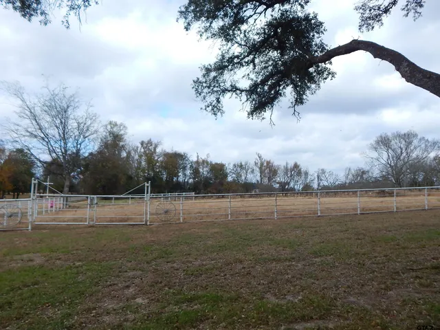a view of outdoor space with green space