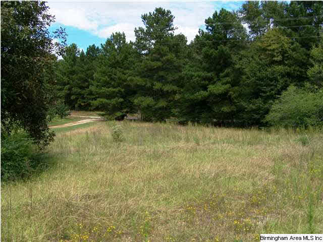 2231 Camp Brownie Road, Unit 5 AC Sylacauga, AL 35151 - Photo 11 of 15