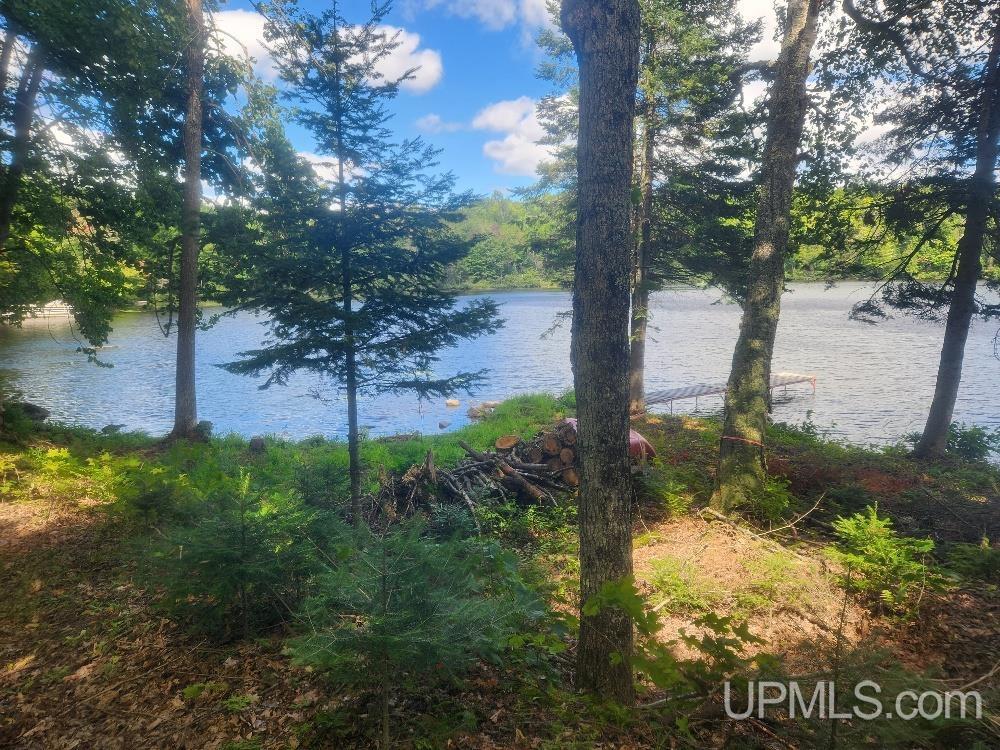 Tbd West Tamarack Lake Road, Unit LOT 5 Watersmeet, MI 49969 - Photo 45 of 66