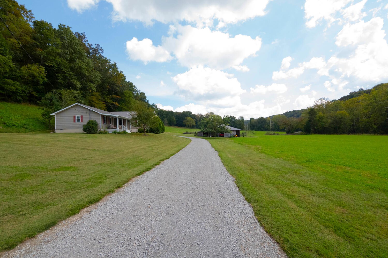 5970 Milton Fox Road Franklin, TN 37064 - Photo 28 of 49 a view of a garden with an trees