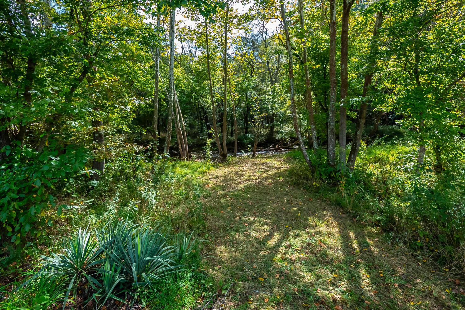 5970 Milton Fox Road Franklin, TN 37064 - Photo 31 of 49 a big yard with lots of green space and deers