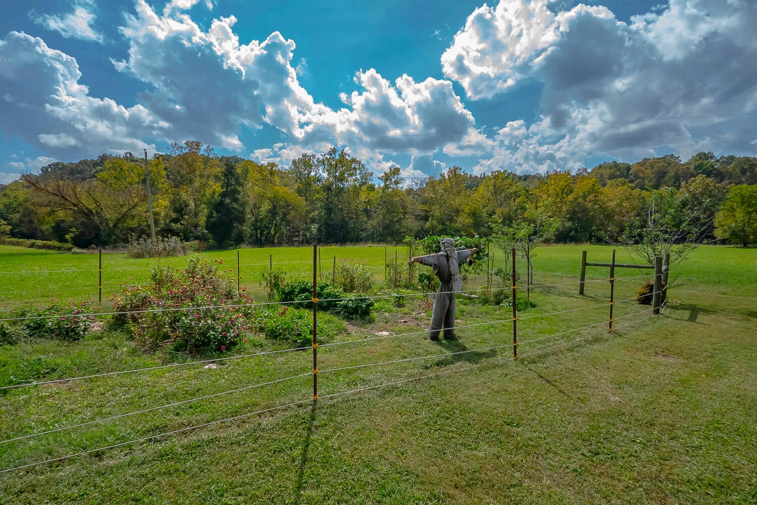 5970 Milton Fox Road Franklin, TN 37064 - Photo 42 of 49 a view of a park