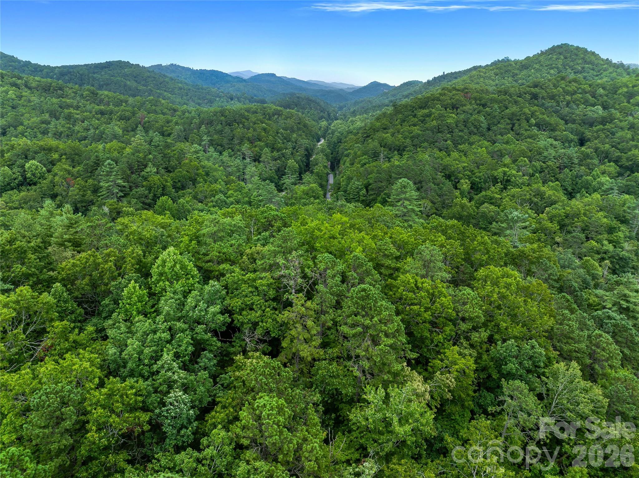 0 Frozen Creek Road Brevard, NC 28712 - Photo 18 of 35 Gallery Image 18