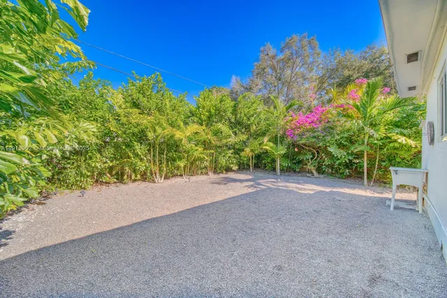 a view of a garden with plants