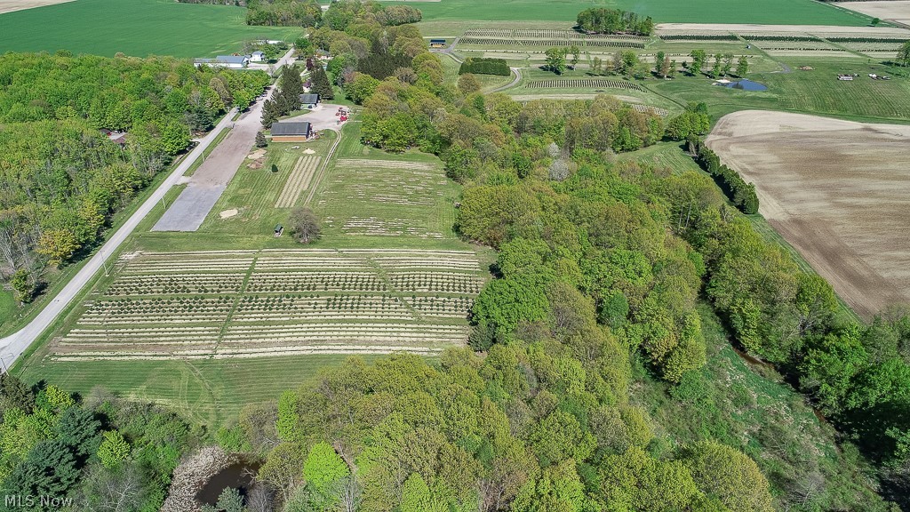 780 Dodgeville Road Rome, OH 44085 - Photo 26 of 35