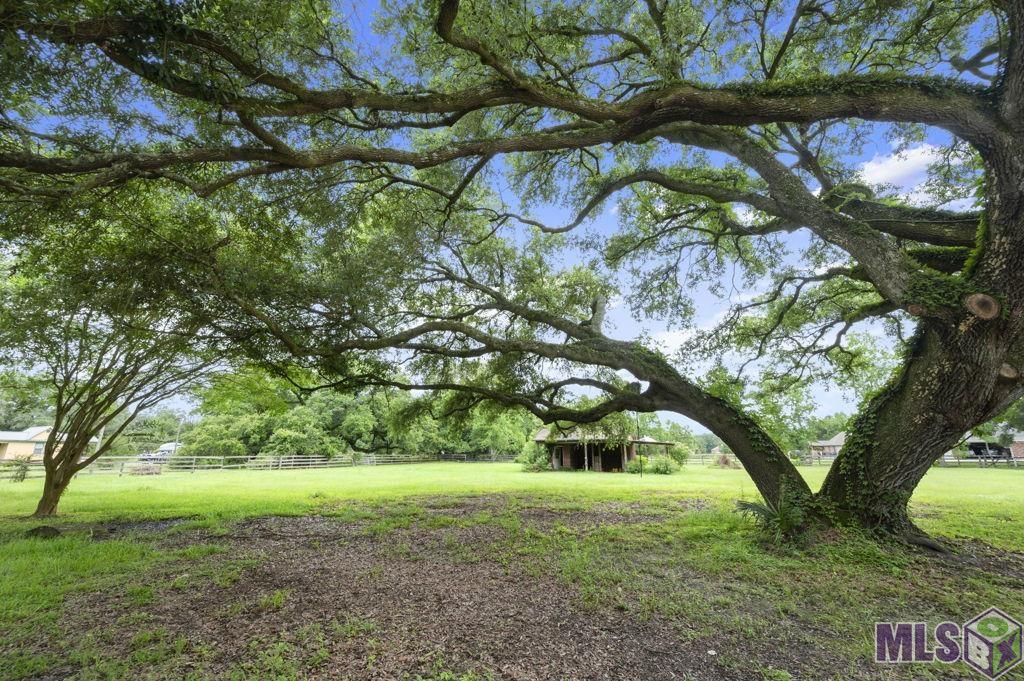 38326 Henry Road Prairieville, LA 70769 - Photo 26 of 28 Gallery Image 26