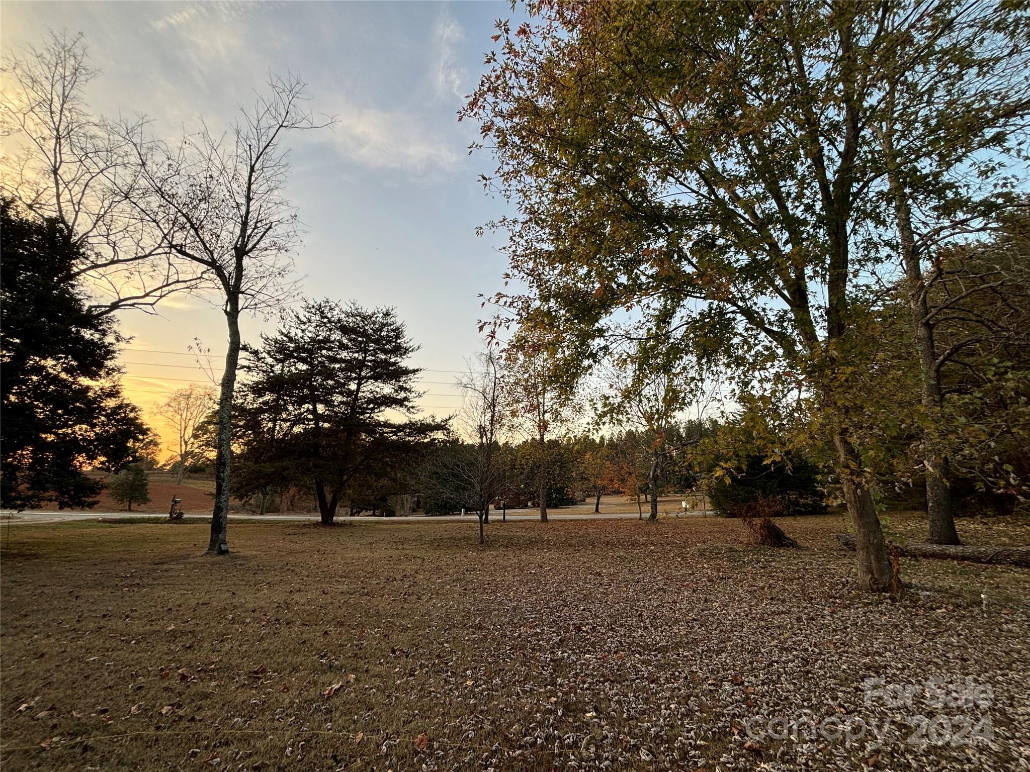 2338 Whiteside Road Mill Spring, NC 28756 - Photo 3 of 28 a view of outdoor space with trees