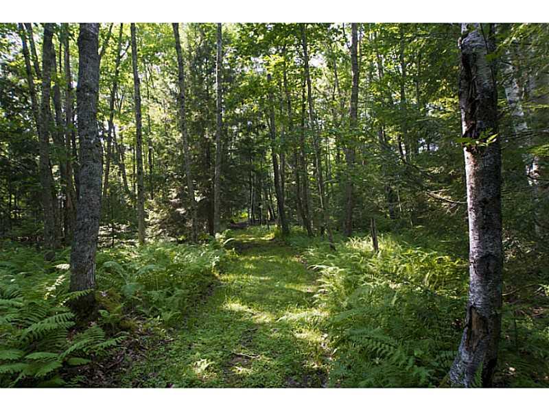 4 Collins Pattee Road Bath, ME 04530 - Photo 27 of 35 Other. One of many, many...