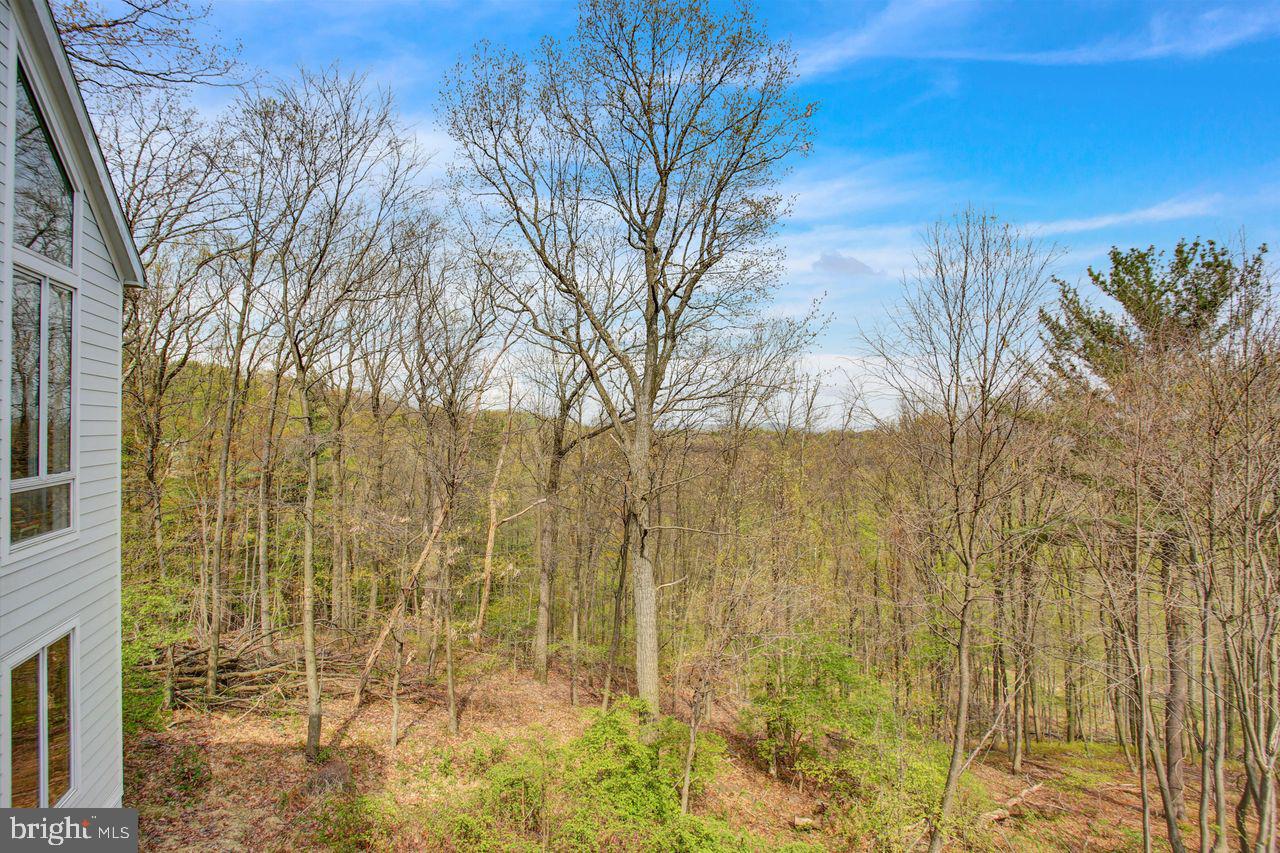 3 Forest Road Mohnton, PA 19540 - Photo 62 of 74