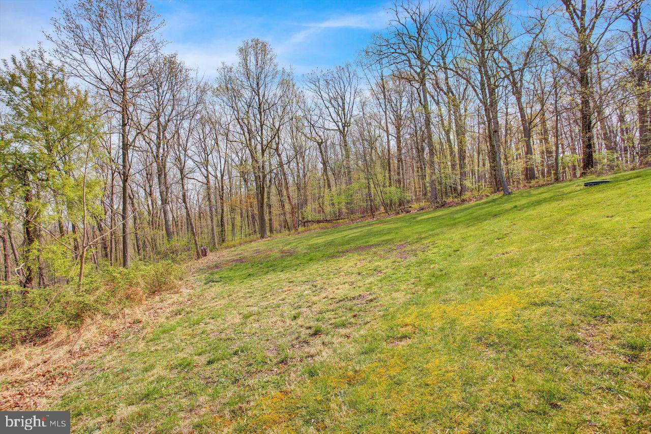 3 Forest Road Mohnton, PA 19540 - Photo 63 of 74