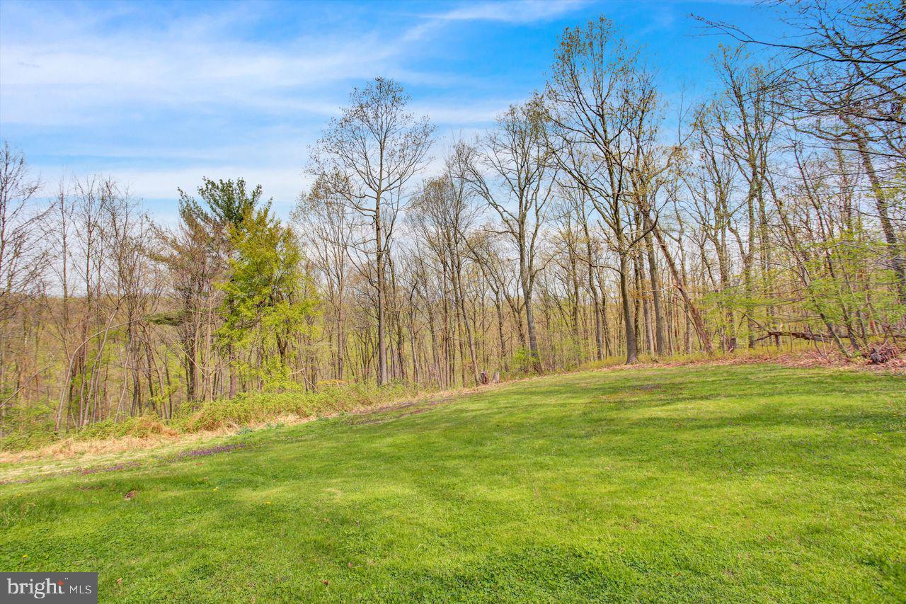 3 Forest Road Mohnton, PA 19540 - Photo 64 of 74