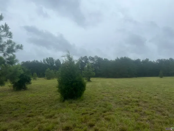 $189,000 | 67 Clinton La, Clinton, LA 70722