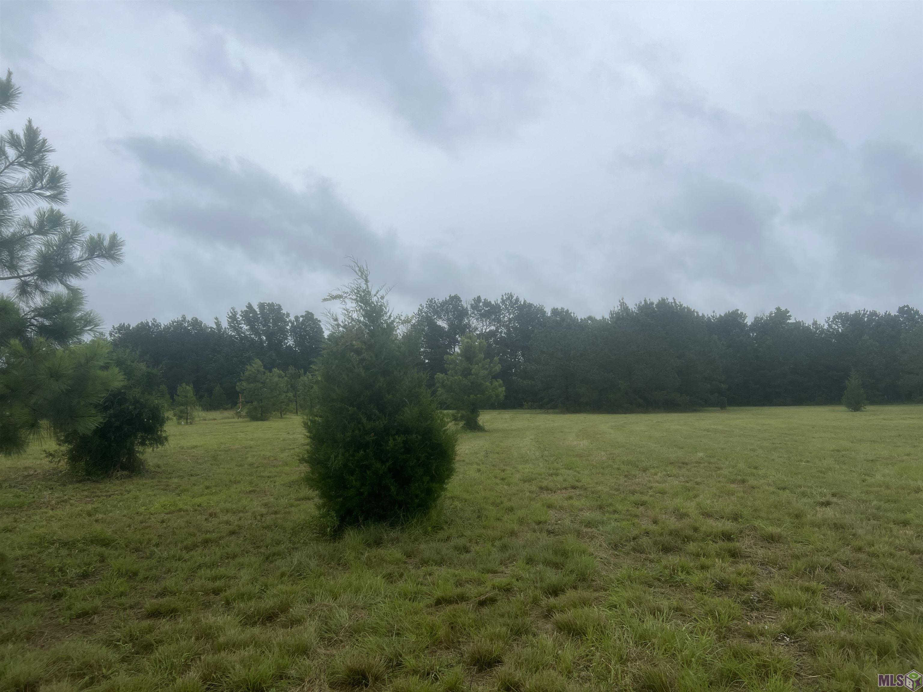 67 Clinton La Clinton, LA 70722 - Photo 2 of 4