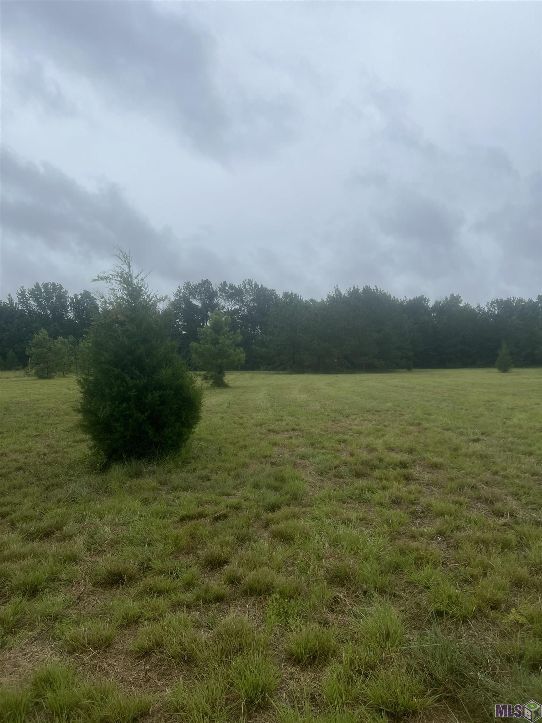 67 Clinton La Clinton, LA 70722 - Photo 3 of 4